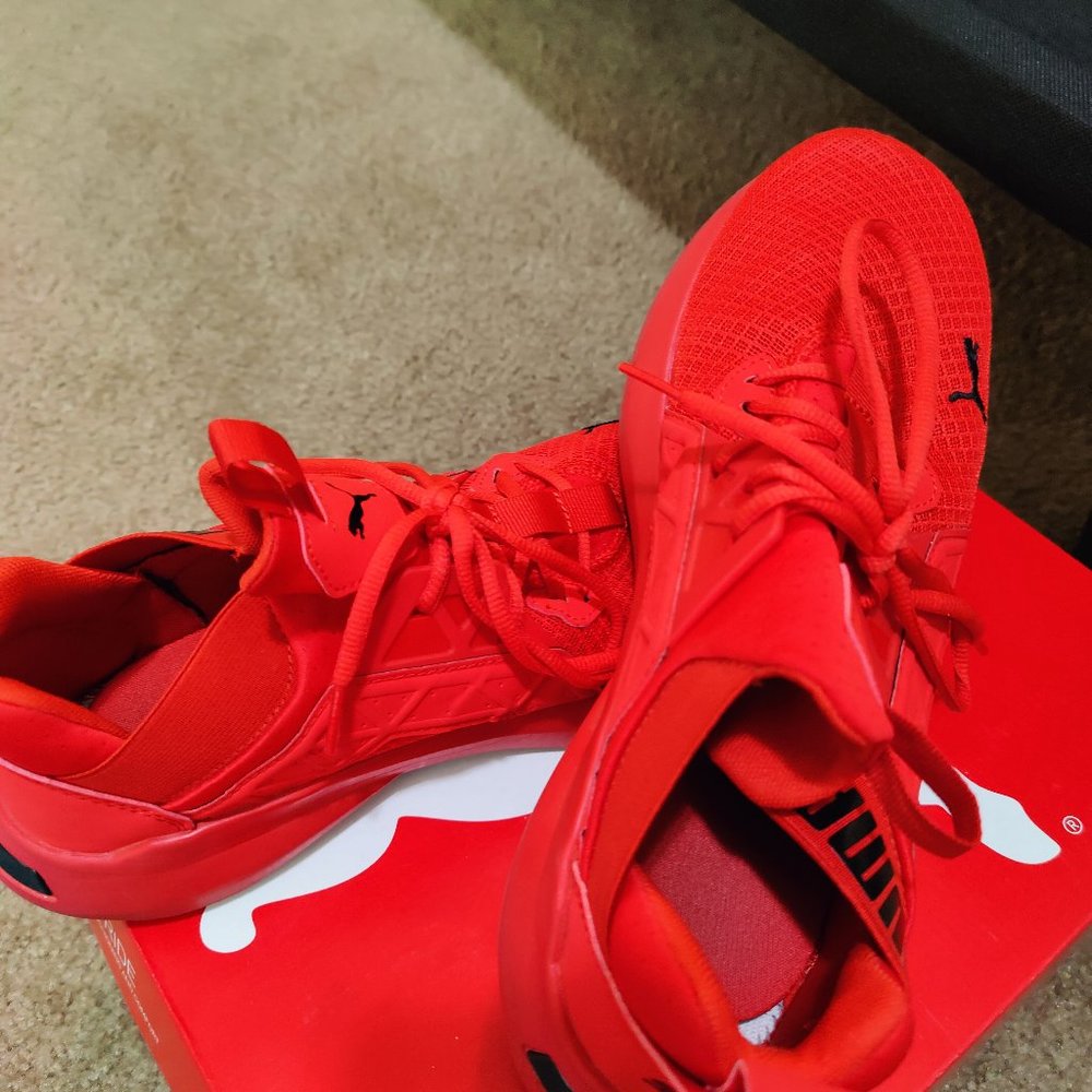 Men's puma Enzo Softride Men's Training Shoes